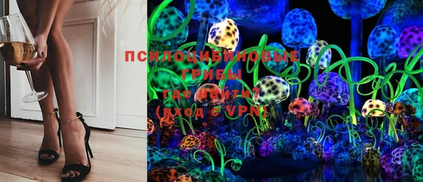 стаф Алексеевка