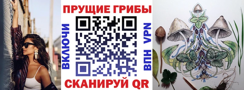 Псилоцибиновые грибы Cubensis  цена   Фролово 