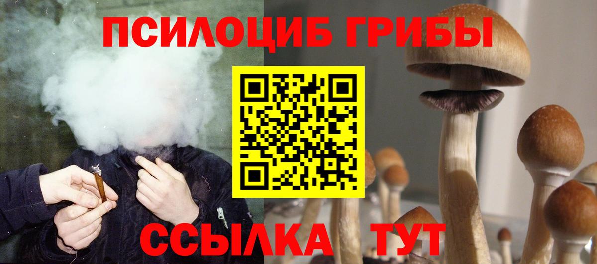 Галлюциногенные грибы Psilocybe Фролово