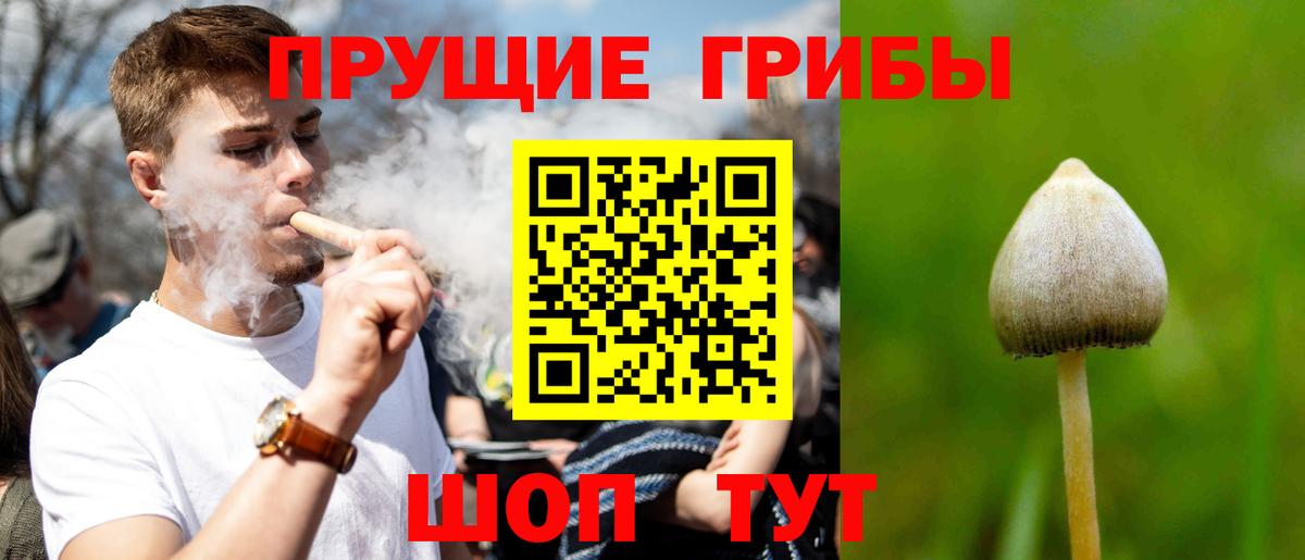 Фролово  Галлюциногенные грибы MAGIC MUSHROOMS  Вход с VPN 